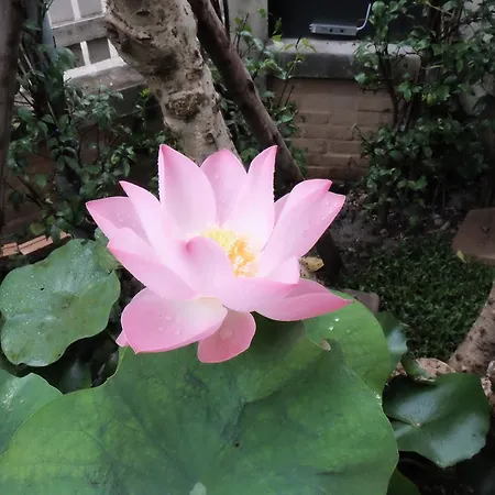 城里18号民宿住宿加早餐旅馆